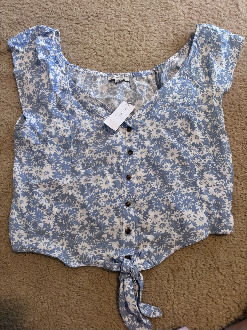 American Eagle Outfitters Blue and White Floral Tie-Front Crop Top